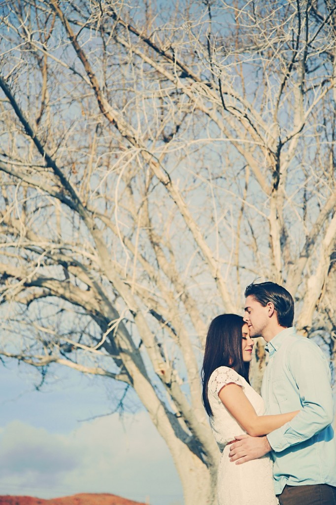 St_George_rustic_engagement_1047