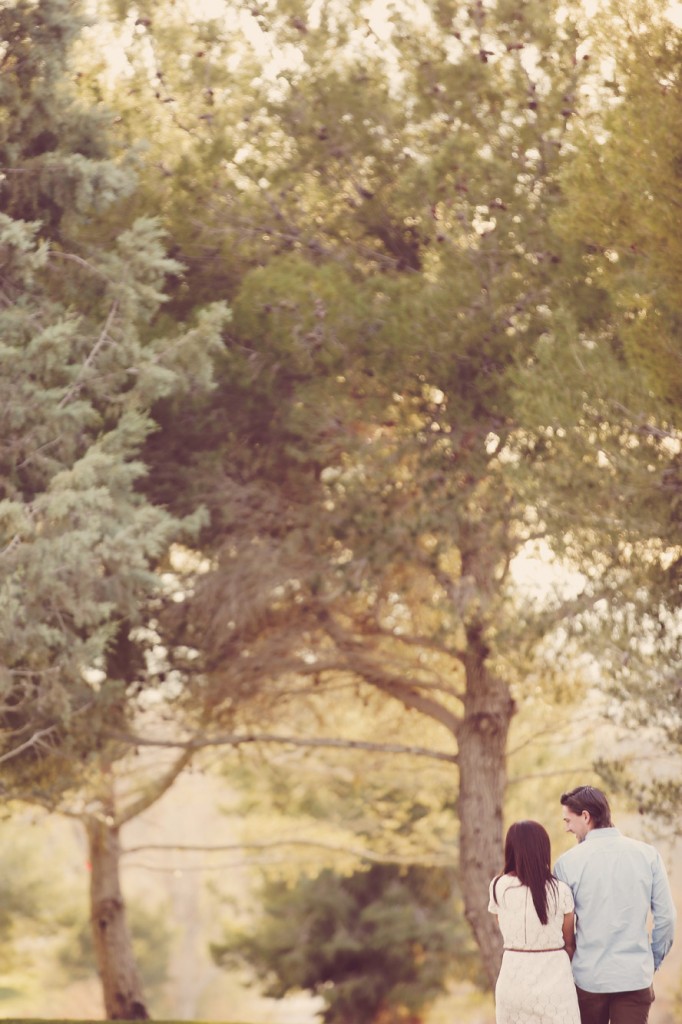St_George_rustic_engagement_1056