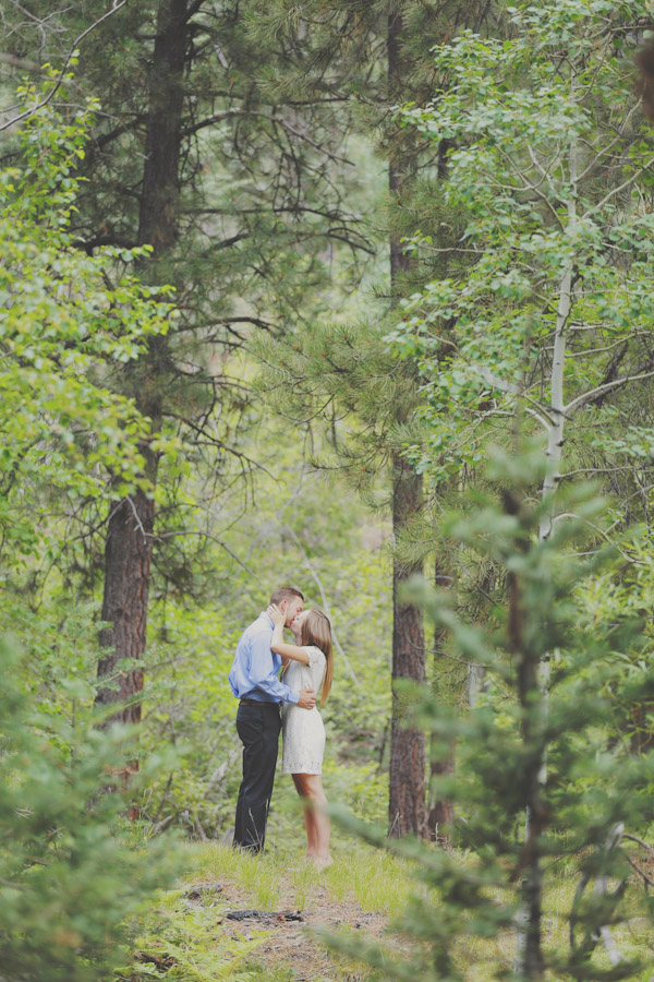pine-valley-forest-engagement-7460