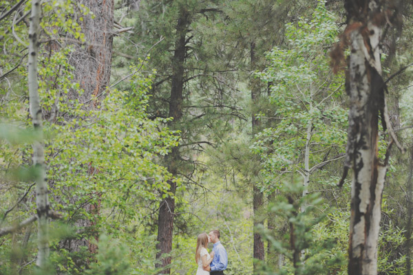 pine-valley-forest-engagement-7463