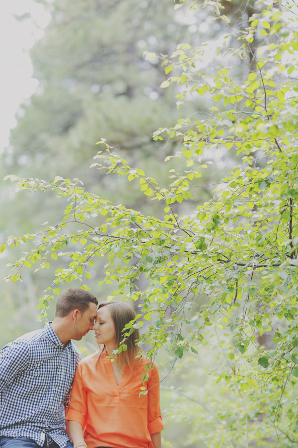 pine-valley-forest-engagement-7471