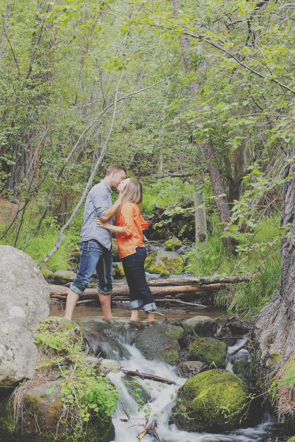 pine-valley-forest-engagement-7473