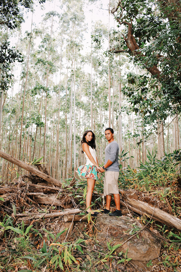 anna-ranch-hawaii-engagement-photos-0389