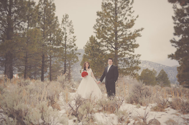 pine valley snow bridal photos
