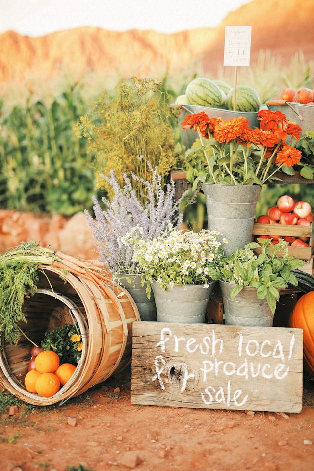 farm-fresh-organic-wedding-gideon-0715