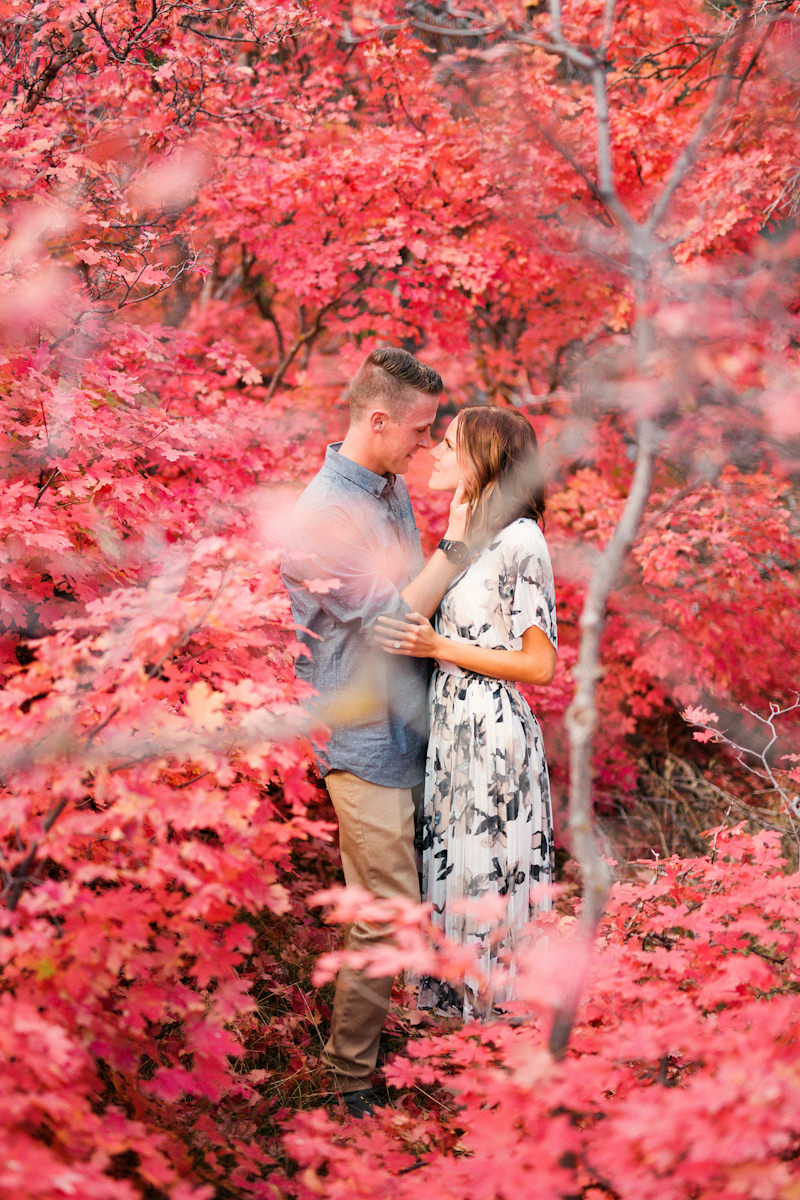 red-fall-leaves-engagement-photos-9949
