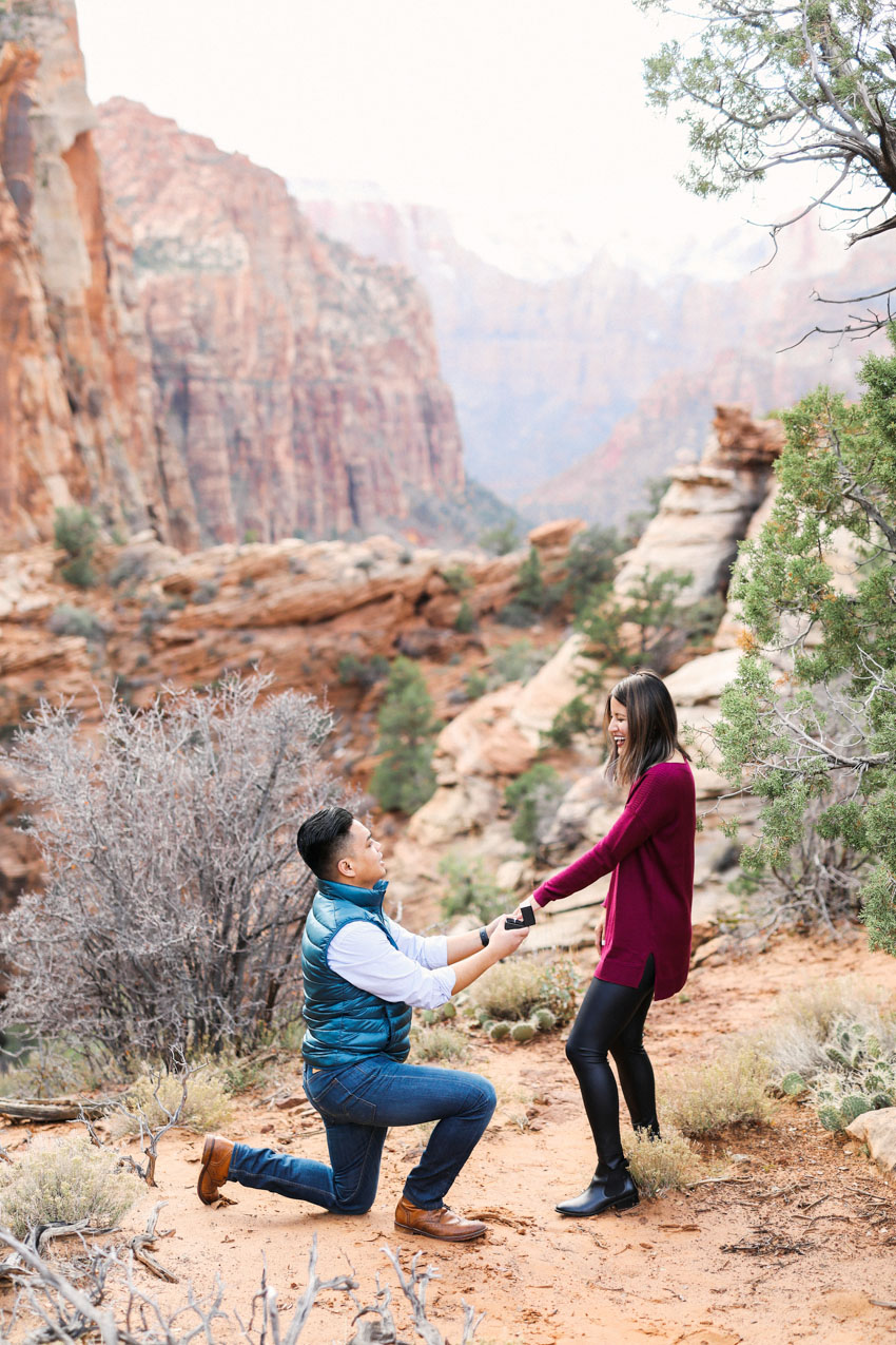 South Asian couple proposal at Zion